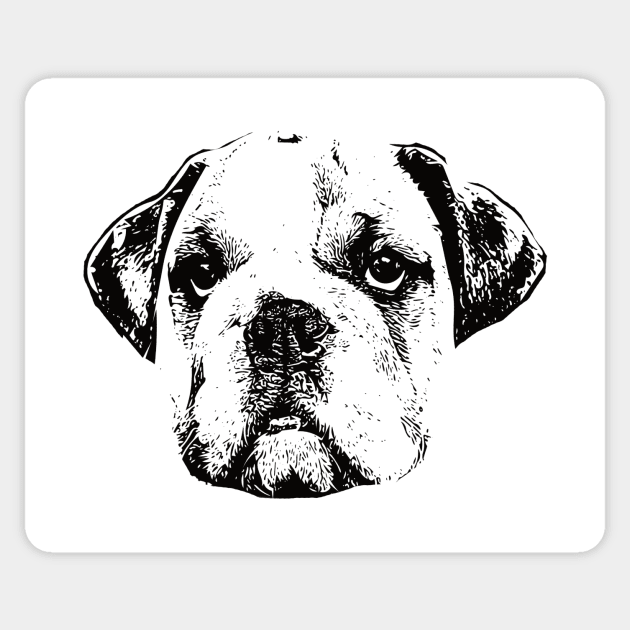 Bulldog Face Design - A Bulldog Christmas Gift Sticker by DoggyStyles